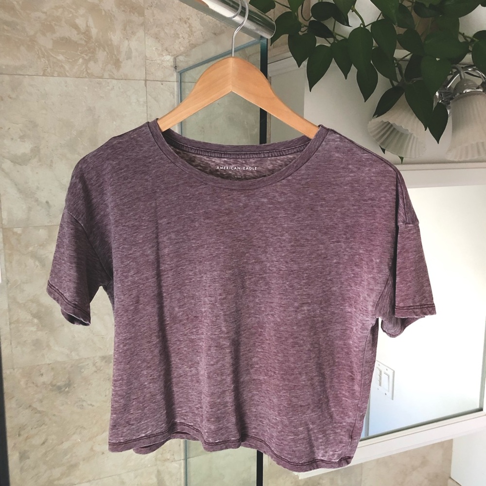 American Eagle Crop Top